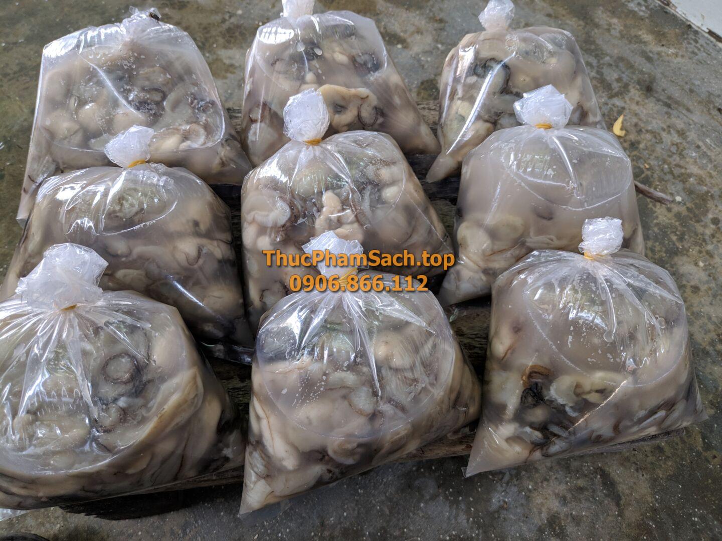 Hàu bịch, Hàu sữa tách vỏ con lớn - Hình ảnh 4