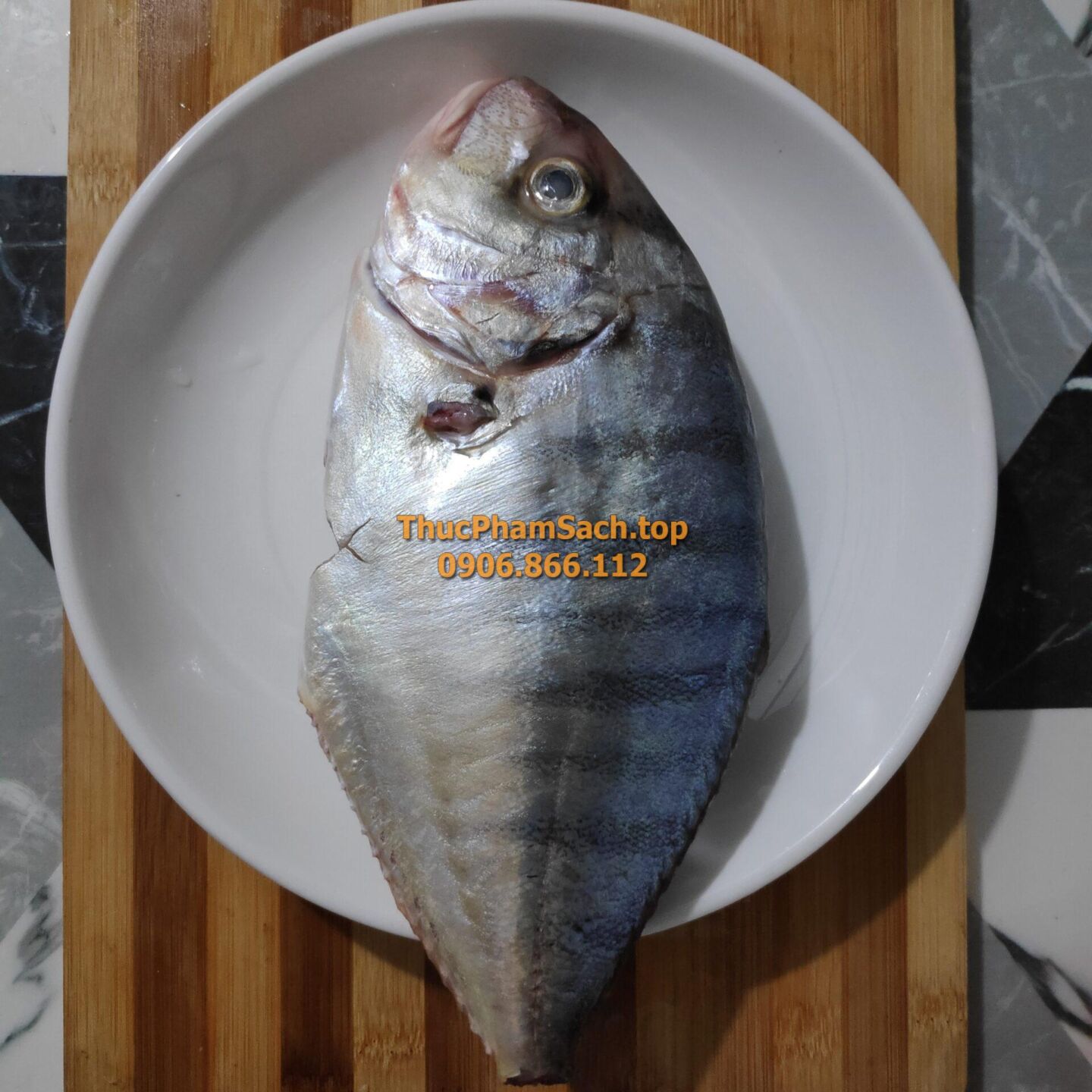 Cá Bè Đưng, loại cá biển to thịt ngon