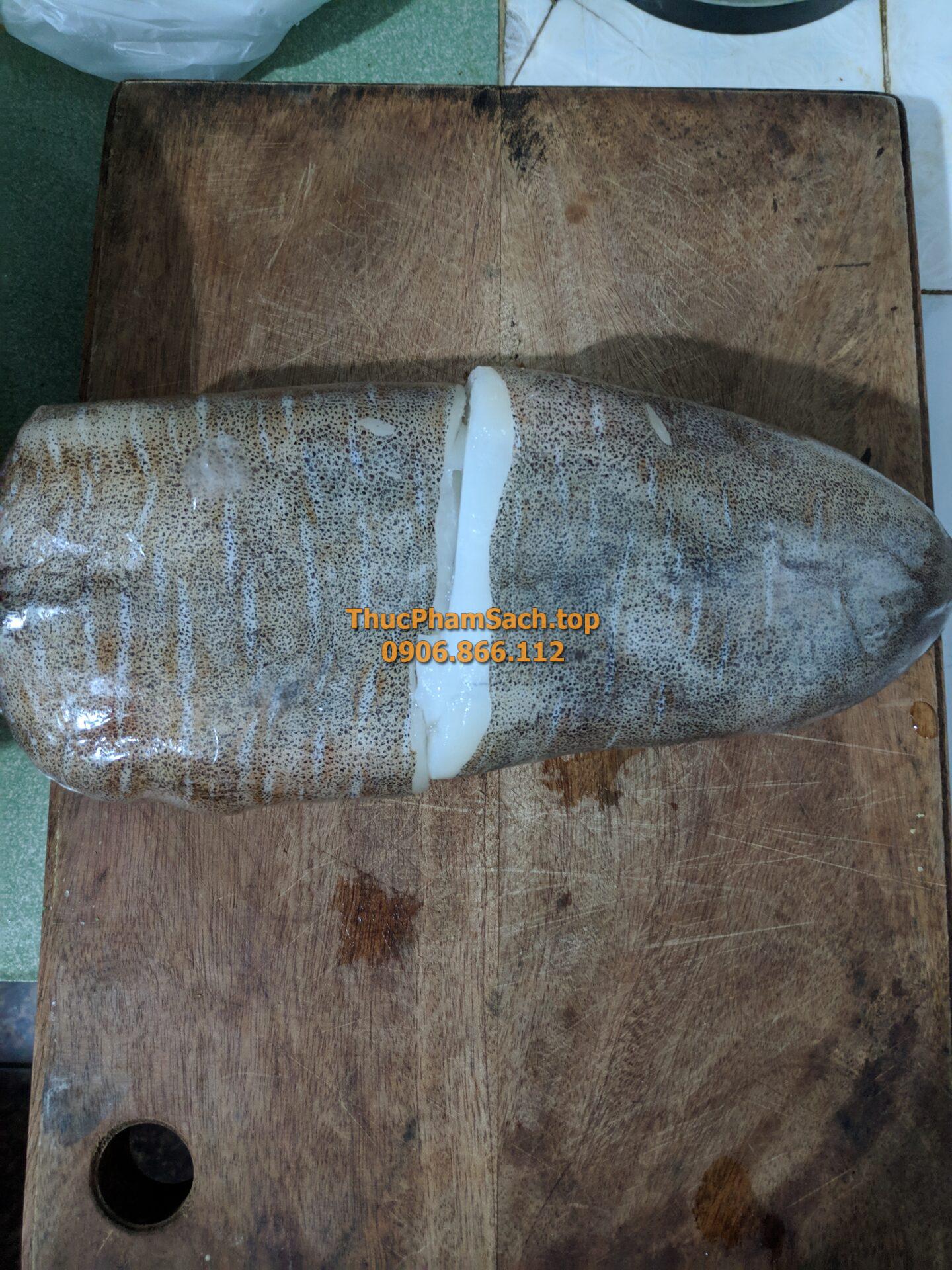 Mực Lá loại lớn