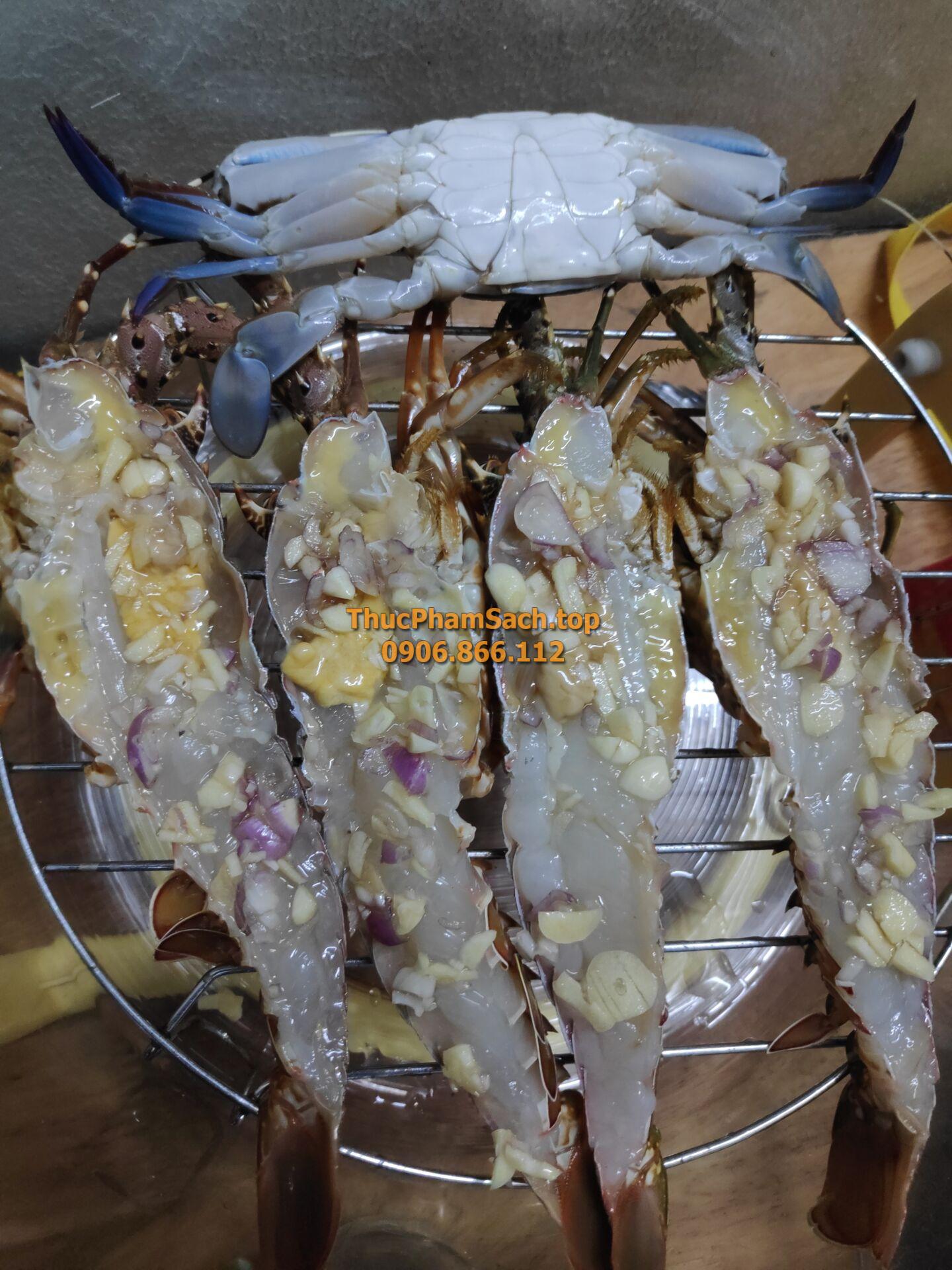 Tôm hùm xanh, tôm sống tại lòng nuôi tôm - Hình ảnh 15