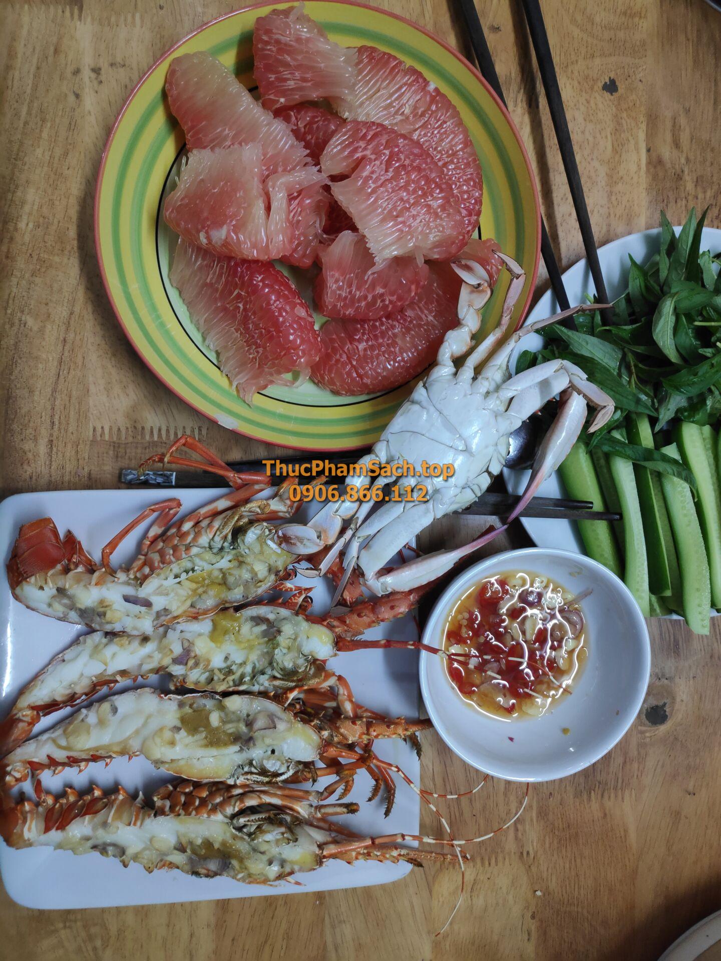 Tôm hùm xanh, tôm sống tại lòng nuôi tôm - Hình ảnh 13