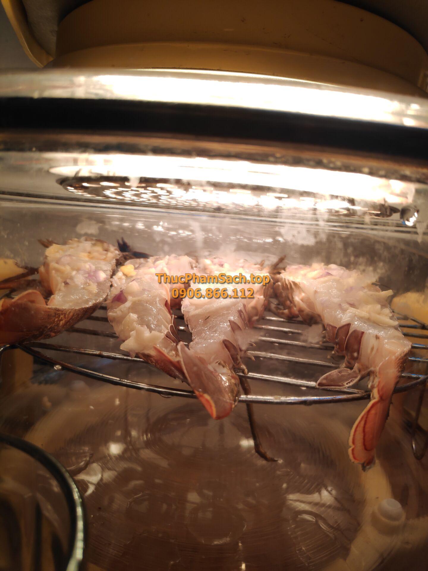 Tôm hùm xanh, tôm sống tại lòng nuôi tôm - Hình ảnh 12