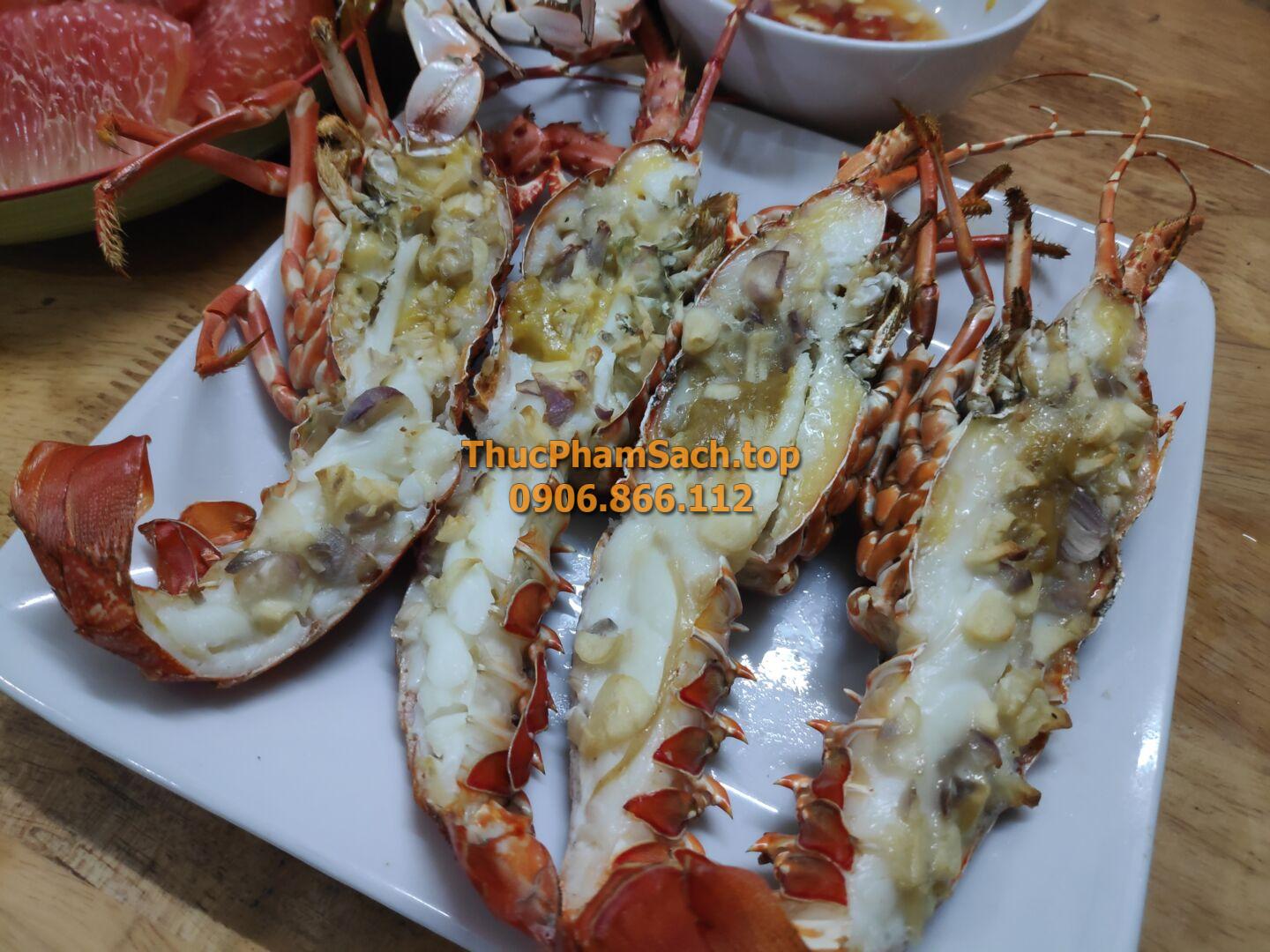 Tôm hùm xanh, tôm sống tại lòng nuôi tôm - Hình ảnh 11