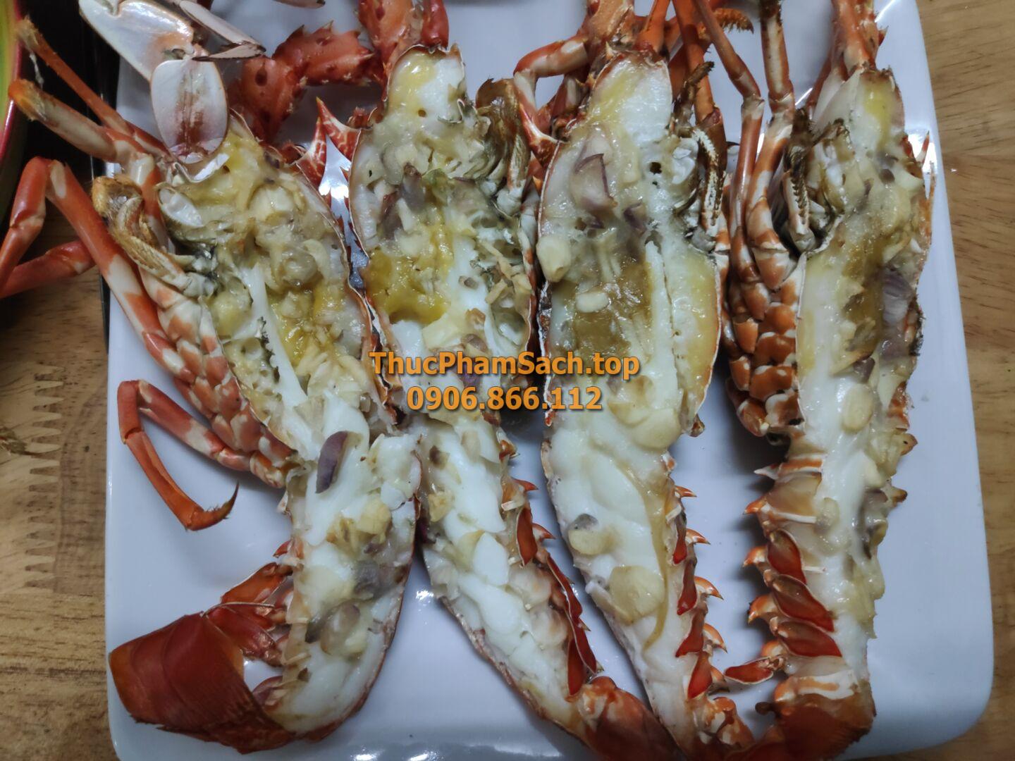 Tôm hùm xanh, tôm sống tại lòng nuôi tôm - Hình ảnh 10